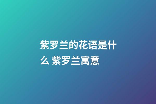 紫罗兰的花语是什么 紫罗兰寓意